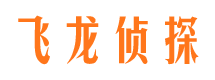 屏边寻人公司